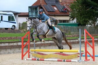 4 letá klisna do vyššího sportu Cornet de Lux - 6