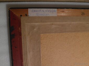 Obraz Samota  u lesa - 6