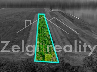 Prodej meruňkového sadu – 8 494 m², Zaječí - 6
