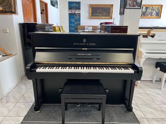 Steinway &Sons se zárukou 2 roky, doprava zdarma. - 6