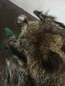 Kančí kůže - 6