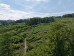 Prodej lesní pozemek, 7 184 m², Koryčany, Kroměříž - 6