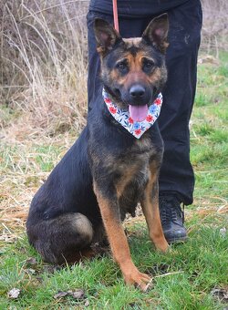 Frederika – hledá milující domov - 6