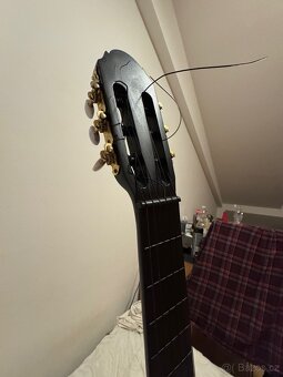 Guitar - 6