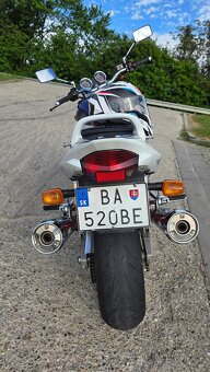 Suzuki GSX 1400 - 6