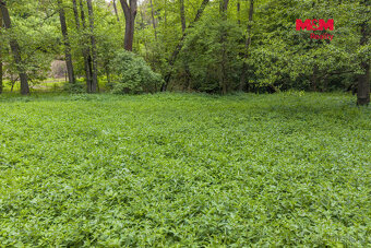 Prodej lesa, 491 m², Bohouňovice I - 6