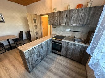 Pronájem bytu 1+1, 41m2, U Vlastního Krbu, Teplice - 6