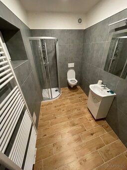 Pronájem bytu 1+KK Velim - 6