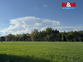 Prodej komerčního pozemku, 10254 m², Homole - 6