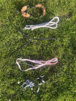 hobby horse - 6