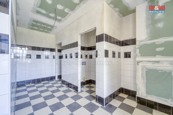 Prodej historického objektu, 1614 m², Červené Poříčí - 6