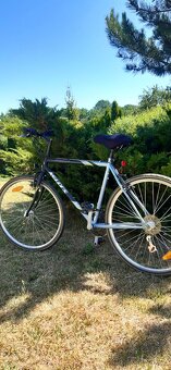 Cross kolo Kellys 28" - 6