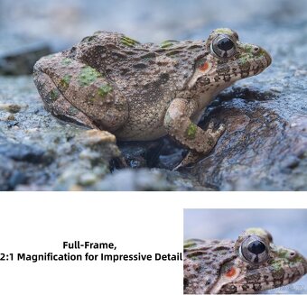 Pergear 100mm F2.8 Full Frame 2X Ultra Macro L mount, nové - 6