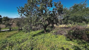 Zahrada u Kyjova o rozloze 1046 m2 - 6