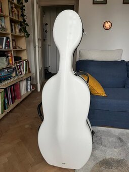 Violoncello 1/1 - 6