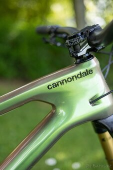Cannondale Jekyll 1 - 6