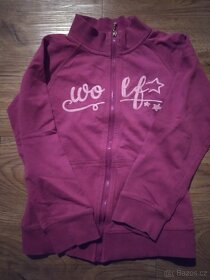 Tričko, kalhoty, saty, mikina, sukynka..holčička, 5 let - 6