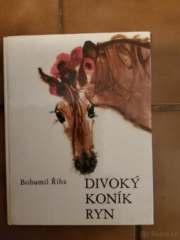 Knížky pro děti (české) - 6