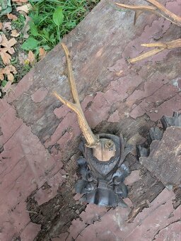 Vycpaniny trofeje - 6