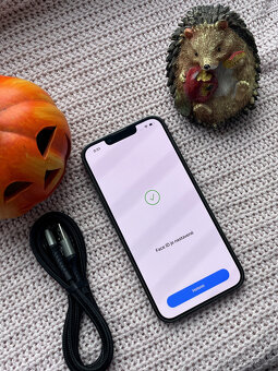 HLEDÁŠ IPHONE? Prodám Apple 13 PRO - 128GB - GRAY - 6