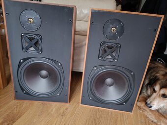 Repra Tesla ARS 1058 HiFi -30 cm bass - 6