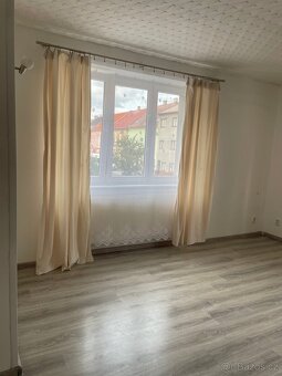 Pěkný slunný byt 1 + 2 s možností parkování ve dvoře - 6