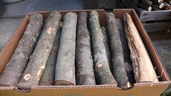 Krbova polena a zátopové dřevo - 6