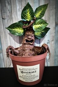 Mandragora Harry Potter - 6