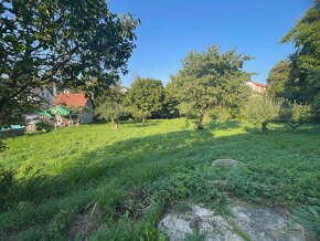 Prodám rodinný dům se zahradou ve Sloupnici u Litomyšle - 6
