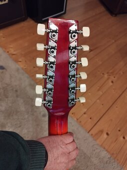 Kytara 12 strunná - 6