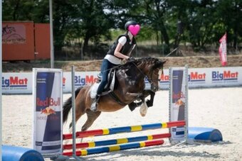 Urostlý téměř dvouletý valach - 6