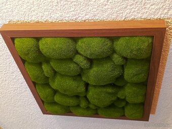 Mechový obraz 33 cm - 6