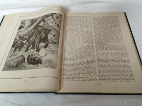 Stará kniha o myslivosti 1923-1924 - 6