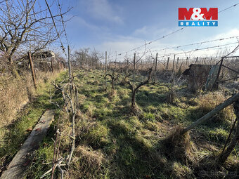 Prodej chaty, Hrušovany u Brna - 6