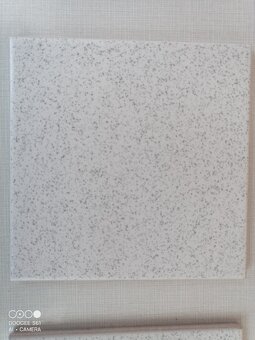 rako dlažba 24 m2 - 6