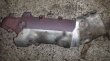 vstřiky,čerpadlo,nissan navara,pathfinder 2,5dci motor PRAHA - 6