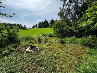 Prodej lesa 880m2 Radkovice - 6