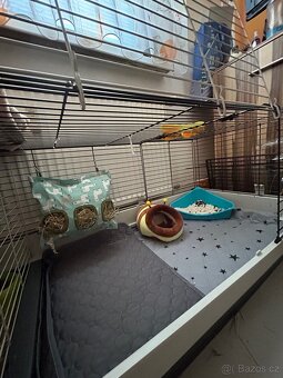 Morčátka - kluk a holka s kompletním vybavením - 6