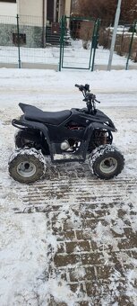 Čtyřkolka 110 ccm - 6