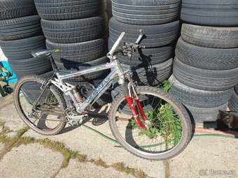 Prodam celoodpruzeny kona uhu - 6