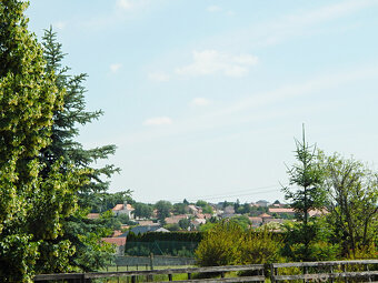 Syrovice, prodej pozemku 3307 m2 - 6