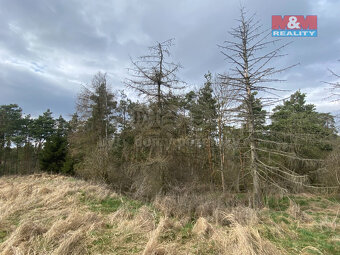 Prodej lesa, 2084 m², Slavičky - 6