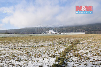 Prodej pozemku k bydlení, 7131 m², Červená Voda - 6
