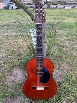 KYTARA SANTANA C-102 + STRUNY. - 6