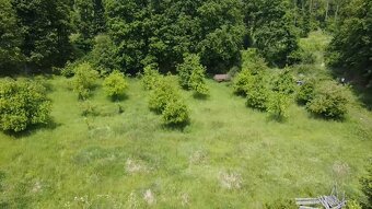 Prodej velkého pozemku 3670m2 uprostřed lesa - 6