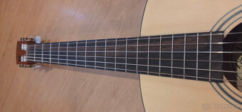 Feder ESC 105 akustická kytara - 6