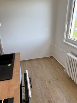 Pronájem bytu 1+1 33m2 Žamberk Dlouhoňovice - 6