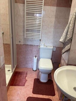 Pronájem bytu 1+1, 41 m Sokolovská 299/42, Karlovy Vary - 6
