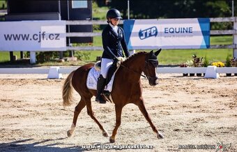 Pony B do sportu - 6