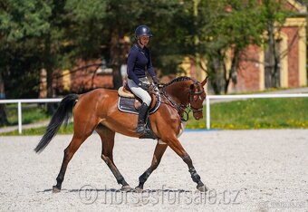 Conquistador x Cassini' s Son, TOP-charakter - 6